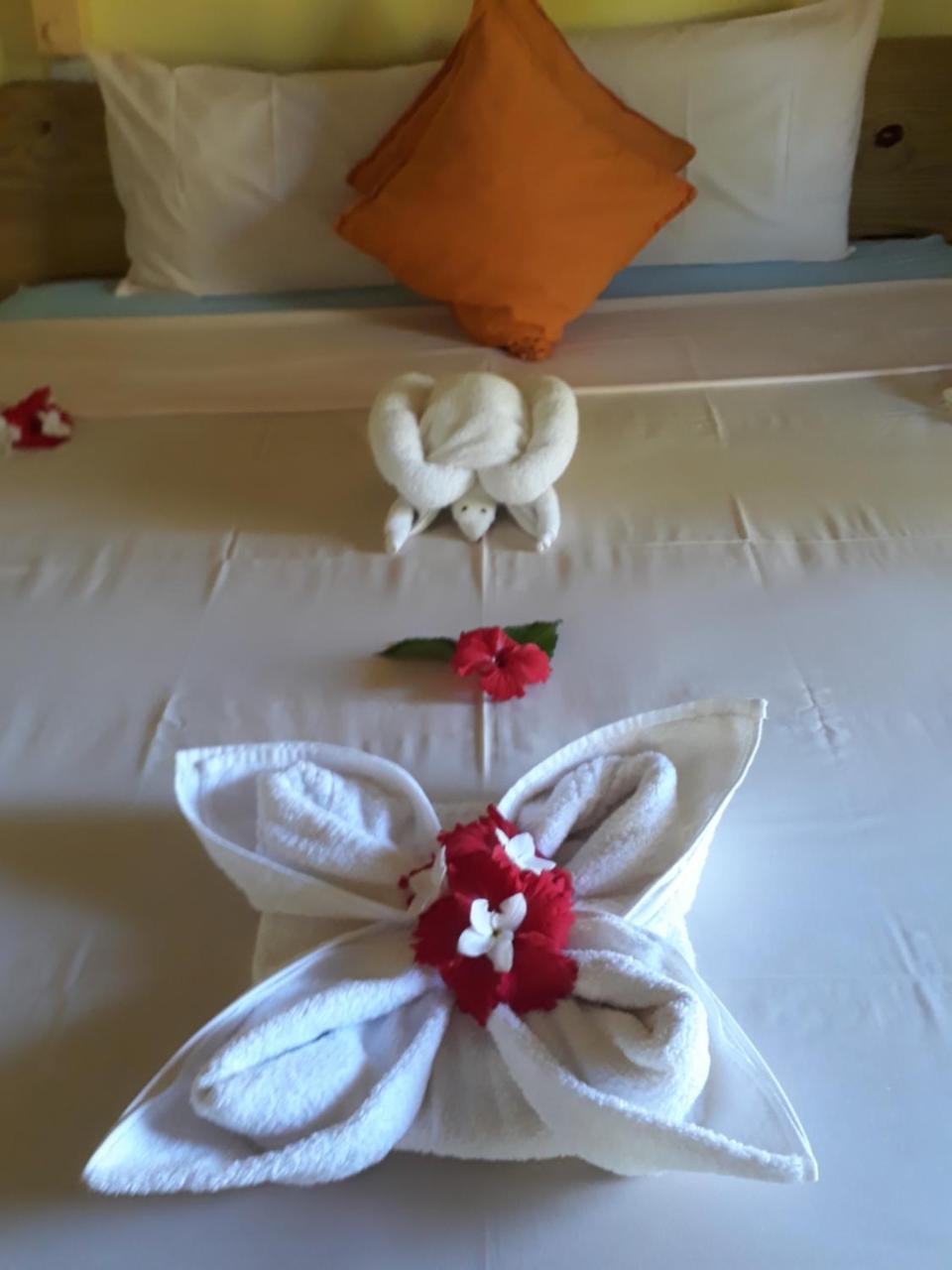 Paradise Flycatcher'S Lodge La Digue Buitenkant foto